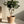Rustic Woven Seagrass Plant Pot Storage Basket