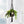 Boho Cotton Macrame Hanging Plant Holder