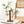 Hydroponic Glass Vase Desktop Plant Terrarium