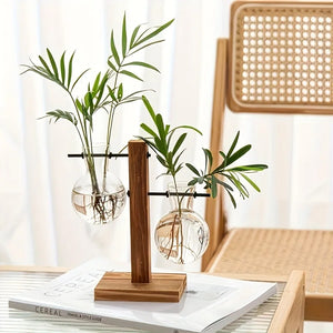 Hydroponic Glass Vase Desktop Plant Terrarium