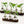 Modern Glass Plant Terrarium with Wooden Tray