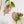 Leaf Shaped Wooden Test Tube Propagation Station