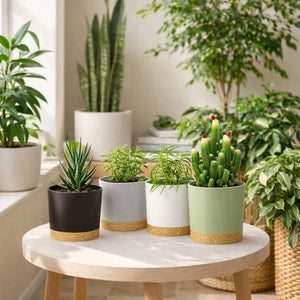 4Pcs Breathable Round Flower Pots with Detachable Base