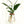 Glass Hydroponic Plant Propagation Vase