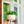 Swing Face Resin Hanging Flower Pot