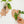 Leaf Shaped Wooden Test Tube Propagation Station