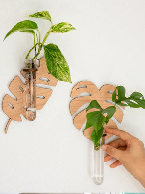 Leaf Shaped Wooden Test Tube Propagation Station