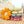 Plush Five-Petal Flower Floor Cushion Pillow