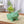 Cute Dinosaur Frog Ceramic Succulent Planter Pot with Drainage