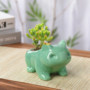 Cute Dinosaur Frog Ceramic Succulent Planter Pot with Drainage