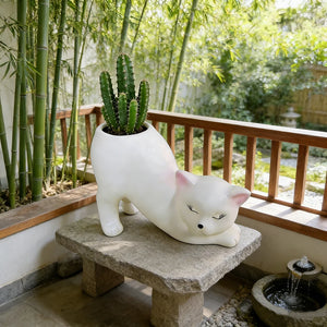 Cute Cat Tail Flower Pot Succulent Planter