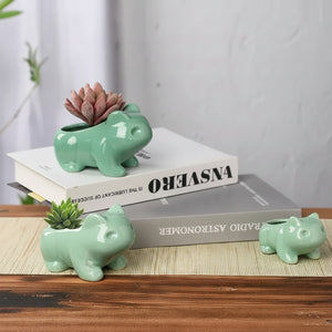Cute Dinosaur Frog Ceramic Succulent Planter Pot with Drainage