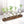 Modern Glass Plant Terrarium with Wooden Tray