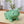 Cute Dinosaur Frog Ceramic Succulent Planter Pot with Drainage
