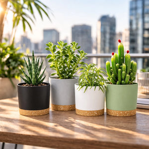 4Pcs Breathable Round Flower Pots with Detachable Base