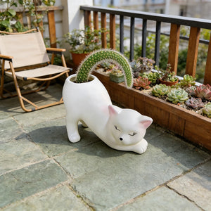 Cute Cat Tail Flower Pot Succulent Planter
