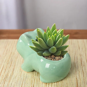 Cute Dinosaur Frog Ceramic Succulent Planter Pot with Drainage