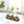 Modern Glass Plant Terrarium with Wooden Tray