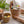 Rustic Woven Seagrass Plant Pot Storage Basket