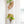 Leaf Shaped Wooden Test Tube Propagation Station