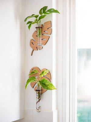 Leaf Shaped Wooden Test Tube Propagation Station