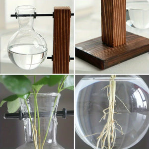 Hydroponic Glass Vase Desktop Plant Terrarium