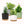 4Pcs Breathable Round Flower Pots with Detachable Base