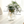 Glass Hydroponic Plant Propagation Vase