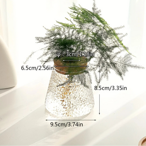 Glass Hydroponic Plant Propagation Vase