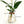Glass Hydroponic Plant Propagation Vase
