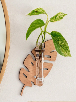 Leaf Shaped Wooden Test Tube Propagation Station