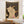 Celestial Tarot Cat Tapestry
