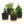 4Pcs Breathable Round Flower Pots with Detachable Base